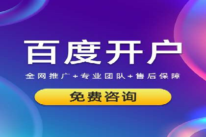 SEM代运营案例分析：精准投放策略解析